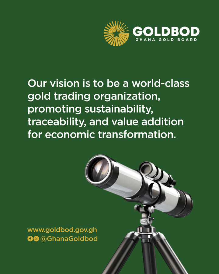 Vision